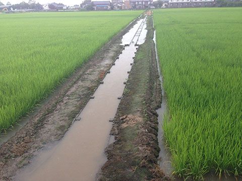 雨