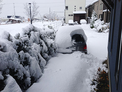 雪