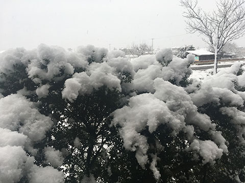 雪