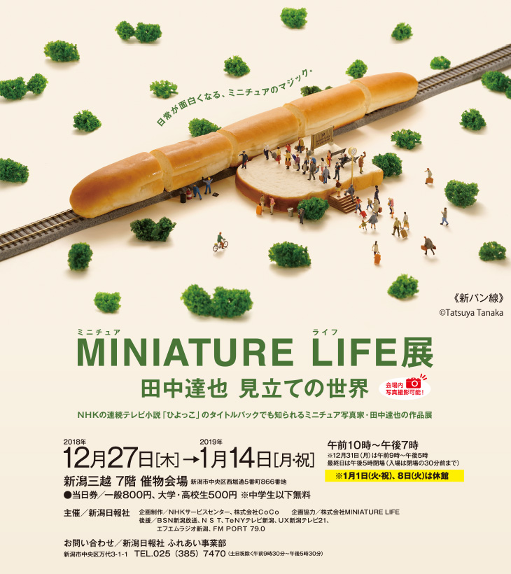 MINIATURE LIFE展