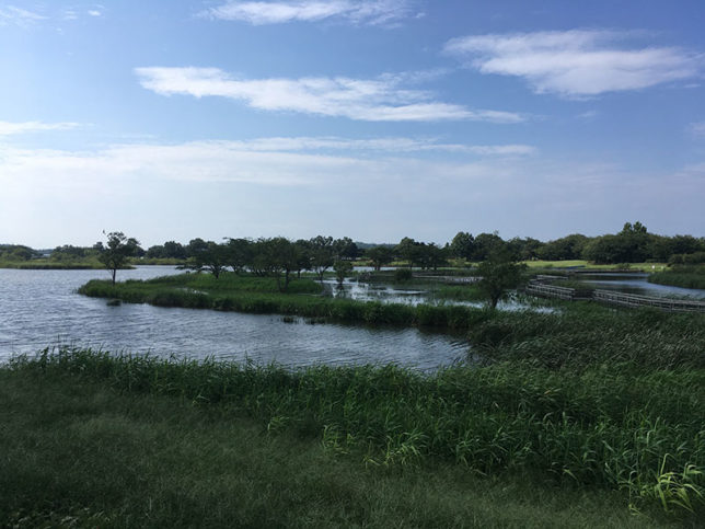 上堰潟公園