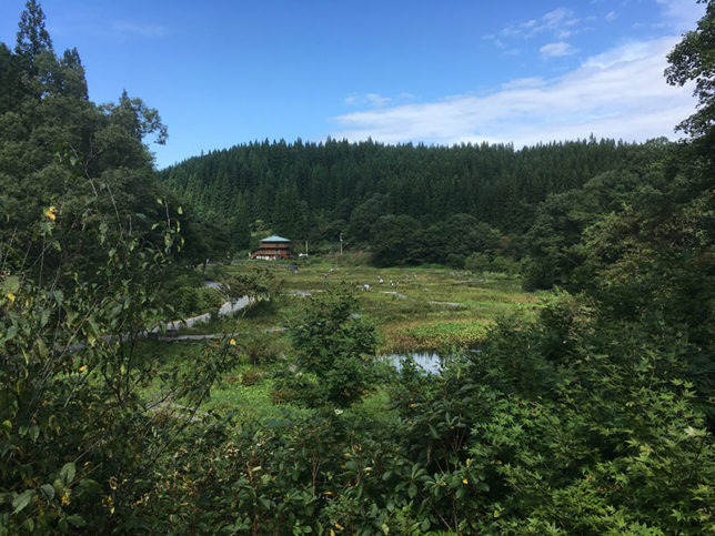 たきがしら湿原