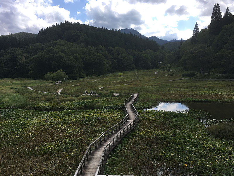 たきがしら湿原