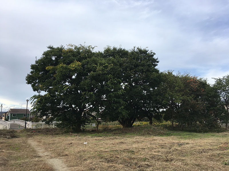 空き地