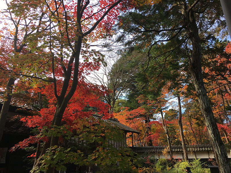 中野邸