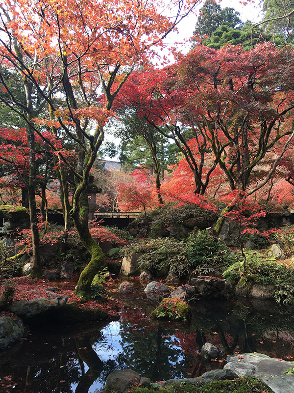 中野邸