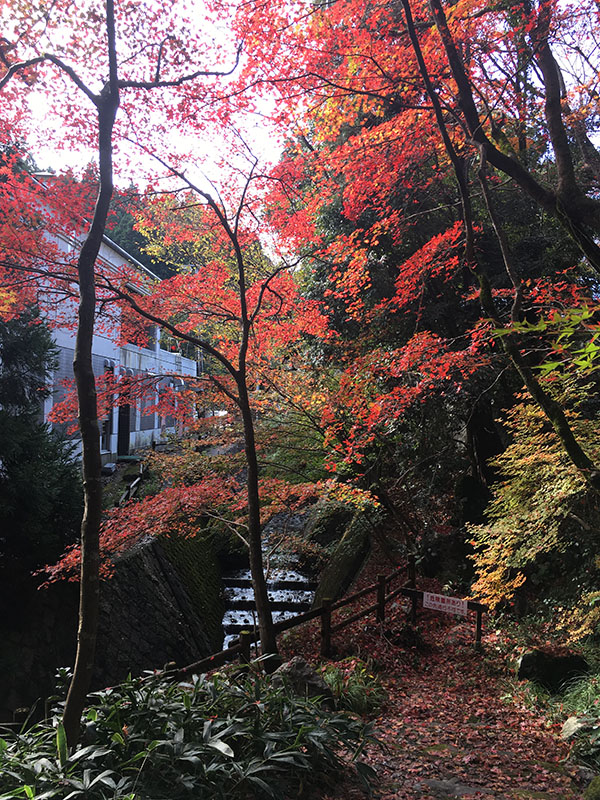 中野邸