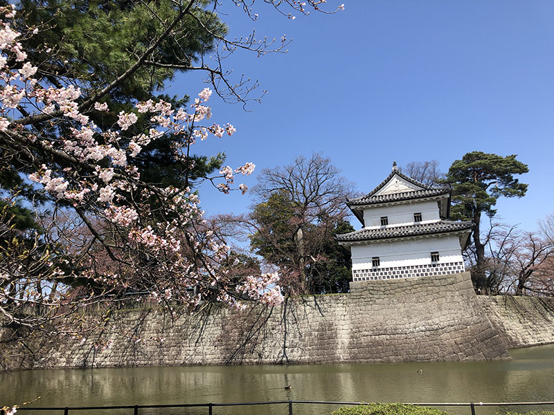 新発田城