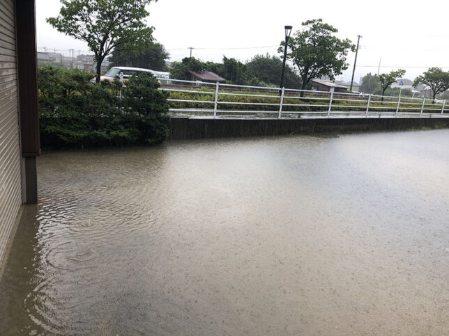 雨