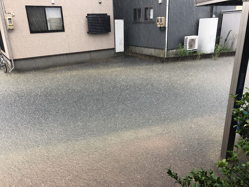 雨