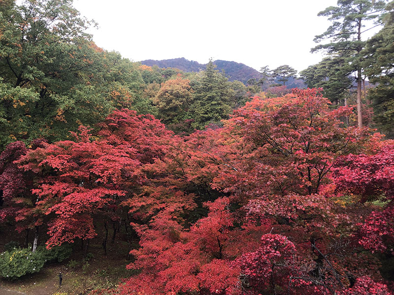 弥彦公園