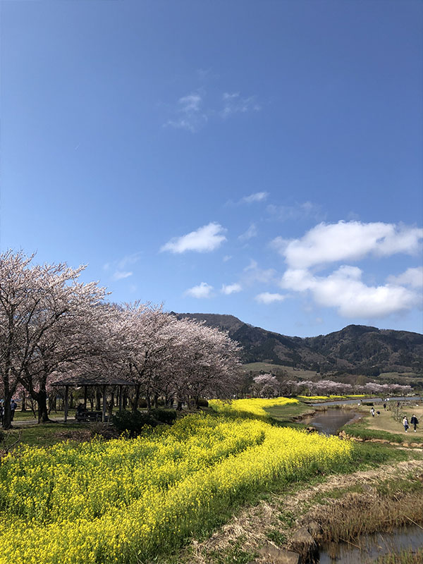 上堰潟公園