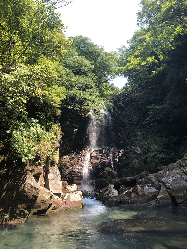 奈曽の白滝