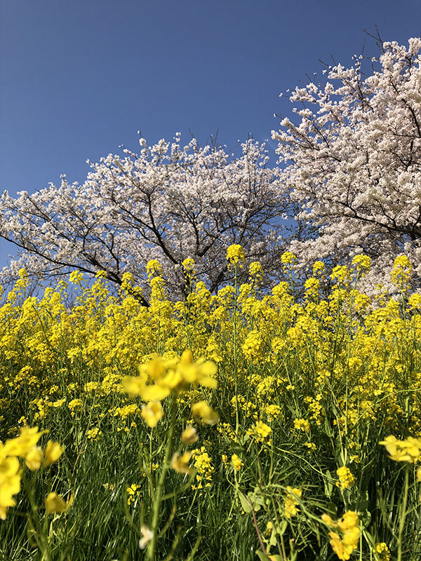 上堰潟公園