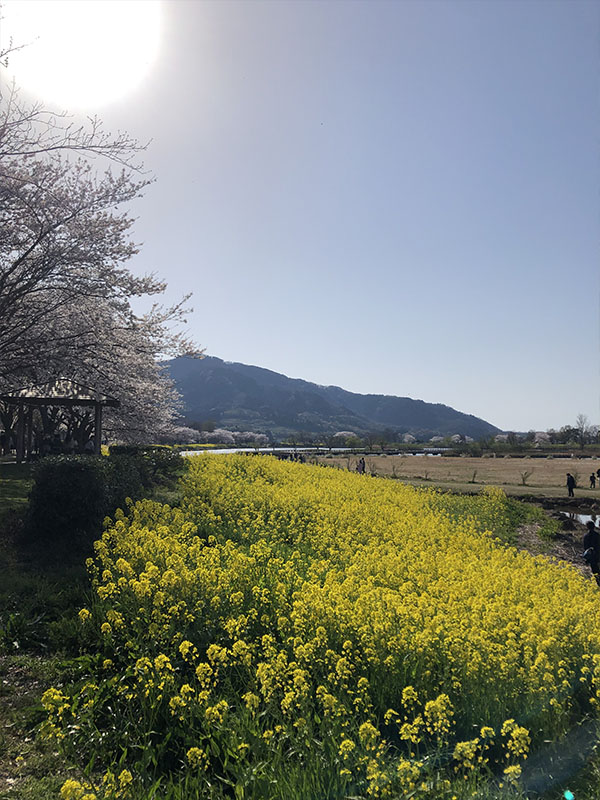 上堰潟公園