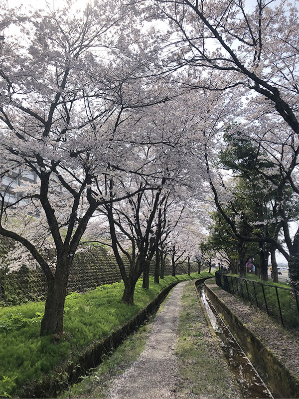 パール金属スタジアム